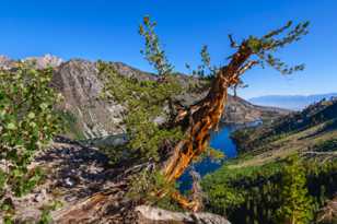 Above Lake Sabrina-7784.jpg Above Lake Sabrina-7784.jpg